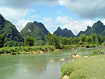 归春河风光
