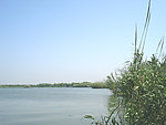 碧水蓝天