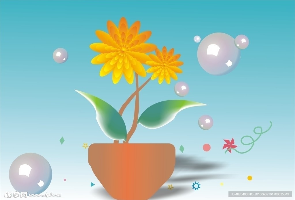 菊花