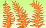 厥类植物叶子笔刷