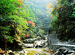山水风光 森林公园