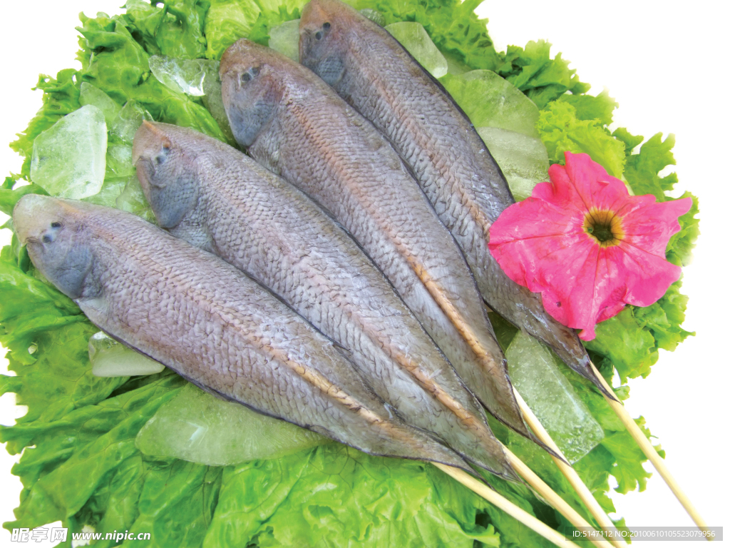香煎塔米鱼怎么做_香煎塔米鱼的做法_豆果美食