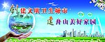 卫生城市