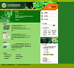 政府网站
