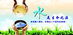 水是生命之源
