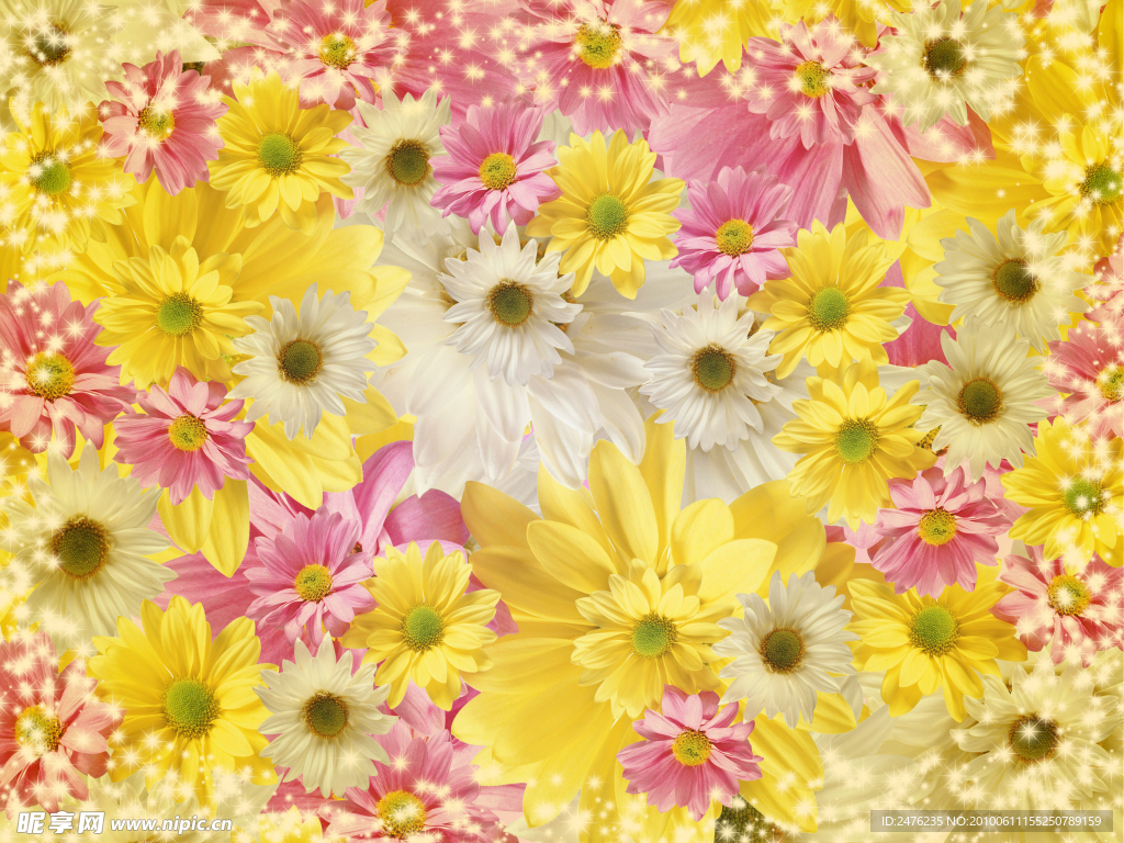 花朵背景