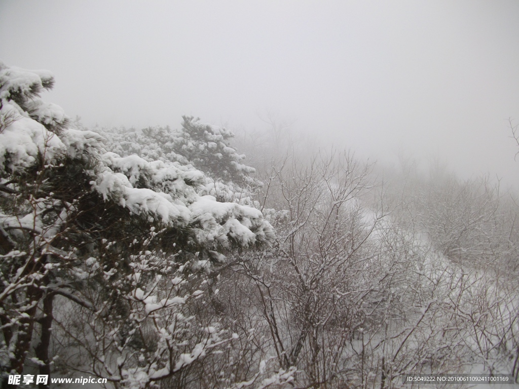 清晨的雪山雾景