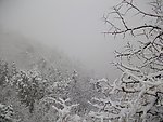 清晨的雾雪