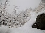 高山上的雪景
