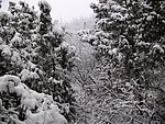 雪景