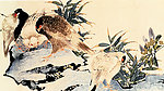 花鸟国画