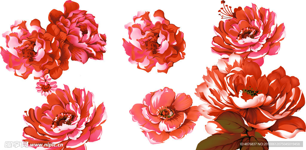 花朵素材