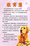 教育篇