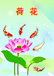 荷花 鱼
