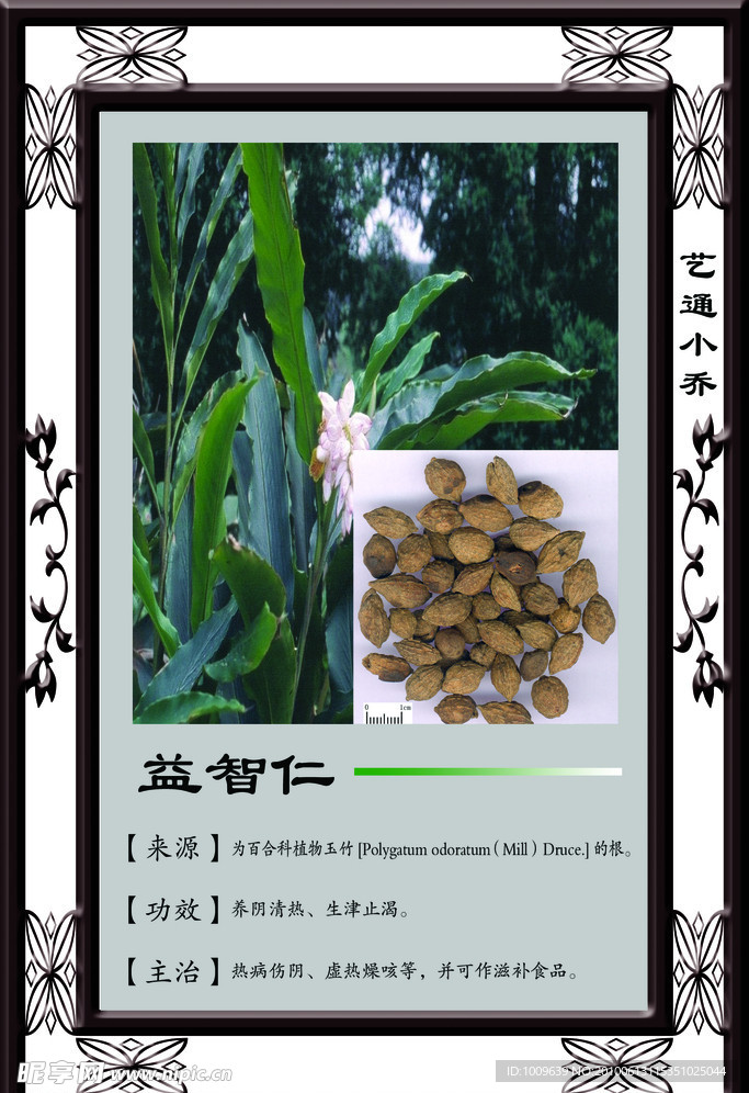 益智仁