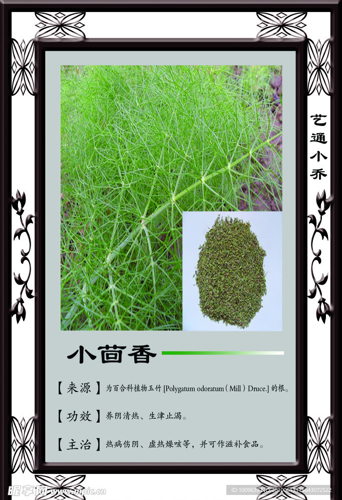 小茴香