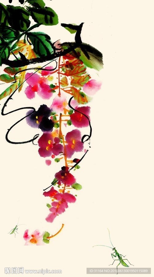 国画 紫藤蚱蜢图