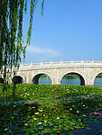 美丽的桥