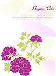 水彩画 花系列