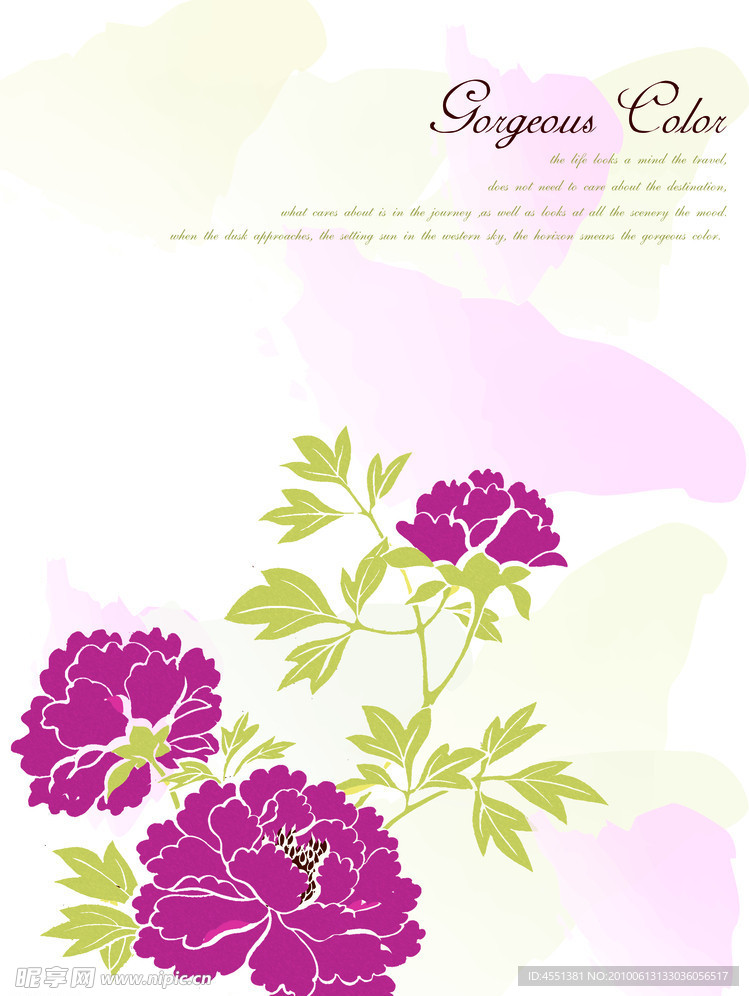 水彩画 花系列