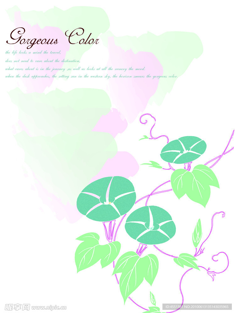 水彩画 花系列
