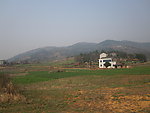 田野