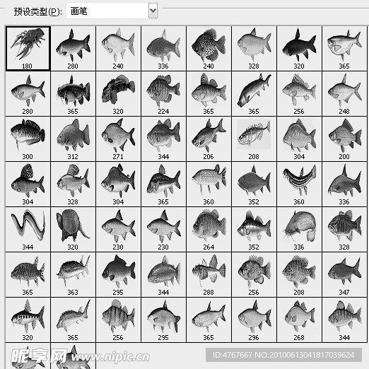 66种热带鱼笔刷