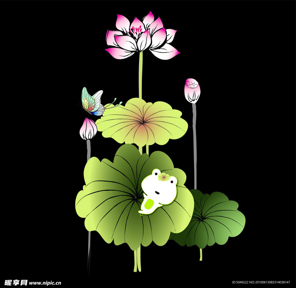 矢量荷花荷叶