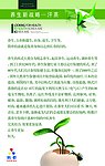 美容