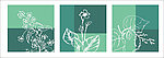 2010无框装饰画线描植物