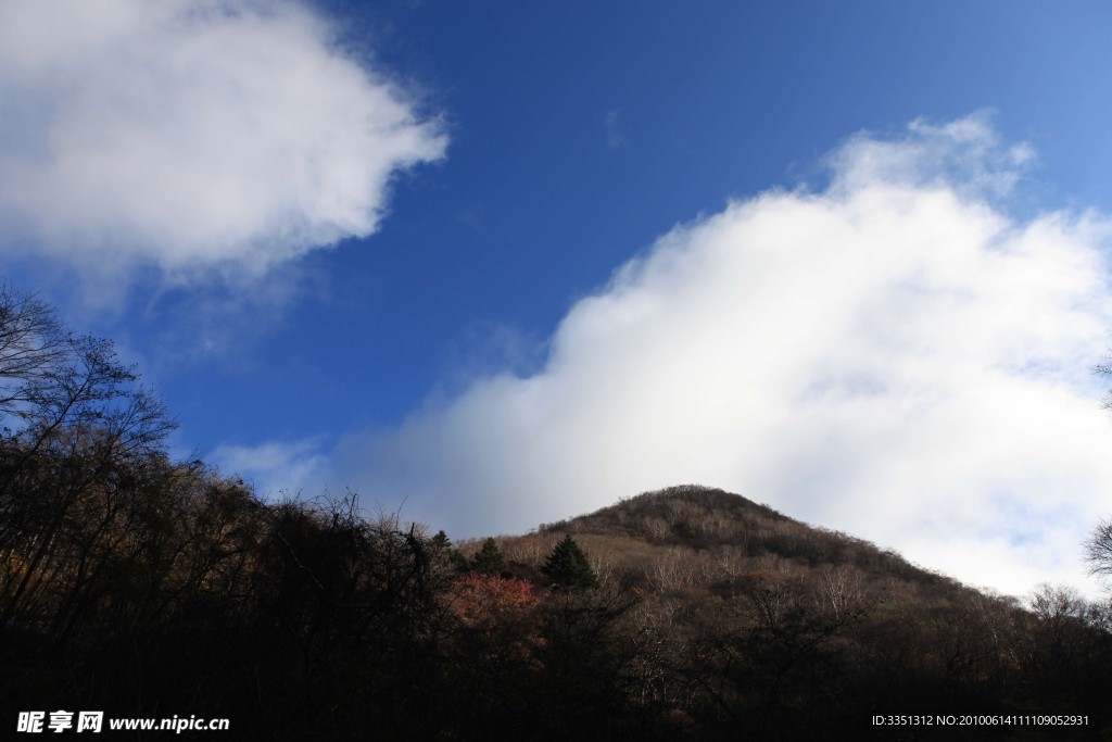 白云 蓝天 远山 树 草皮