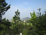 青山