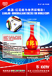 2010世界杯