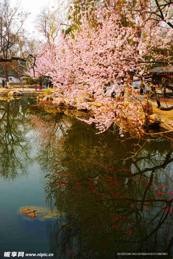 风景