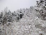 高山雪景