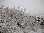 高山迷人雪景