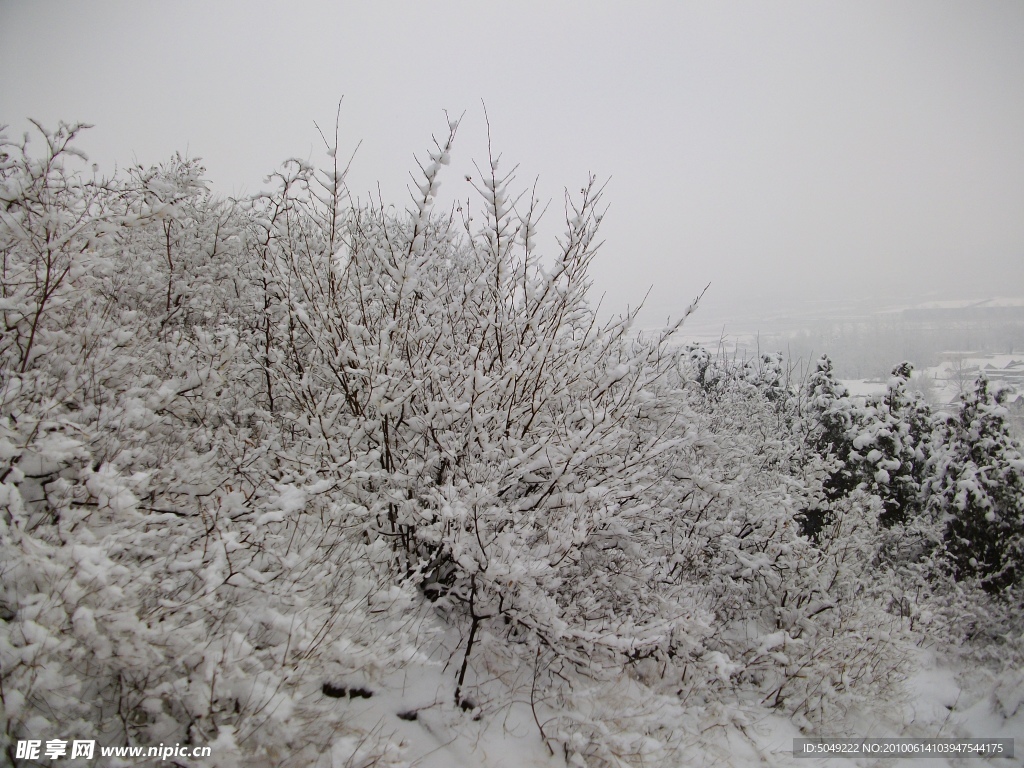 高山迷人雪景