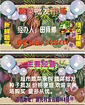 蔬菜批发市场名片
