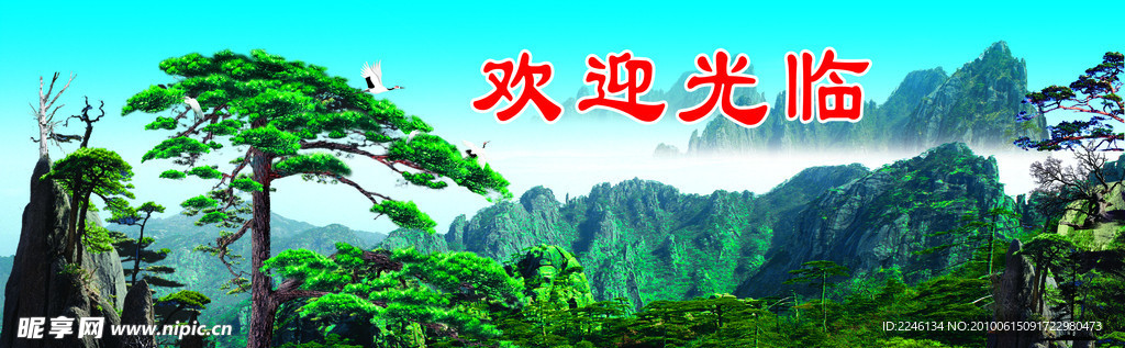 迎客松