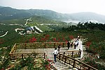 大冒山