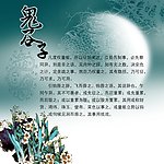 鬼谷子