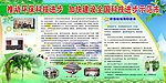 环保 展板
