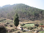 青山