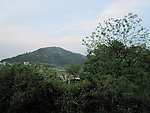 青山
