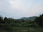 青山