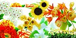 花束