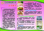 宣传单