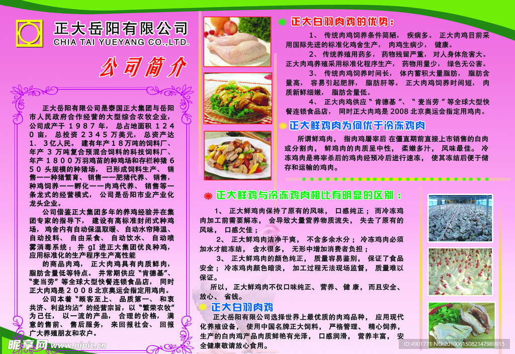 宣传单