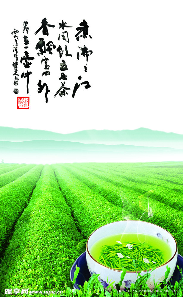 茶叶广告