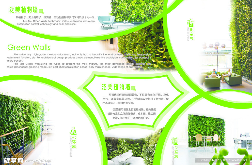 泛美植物墙